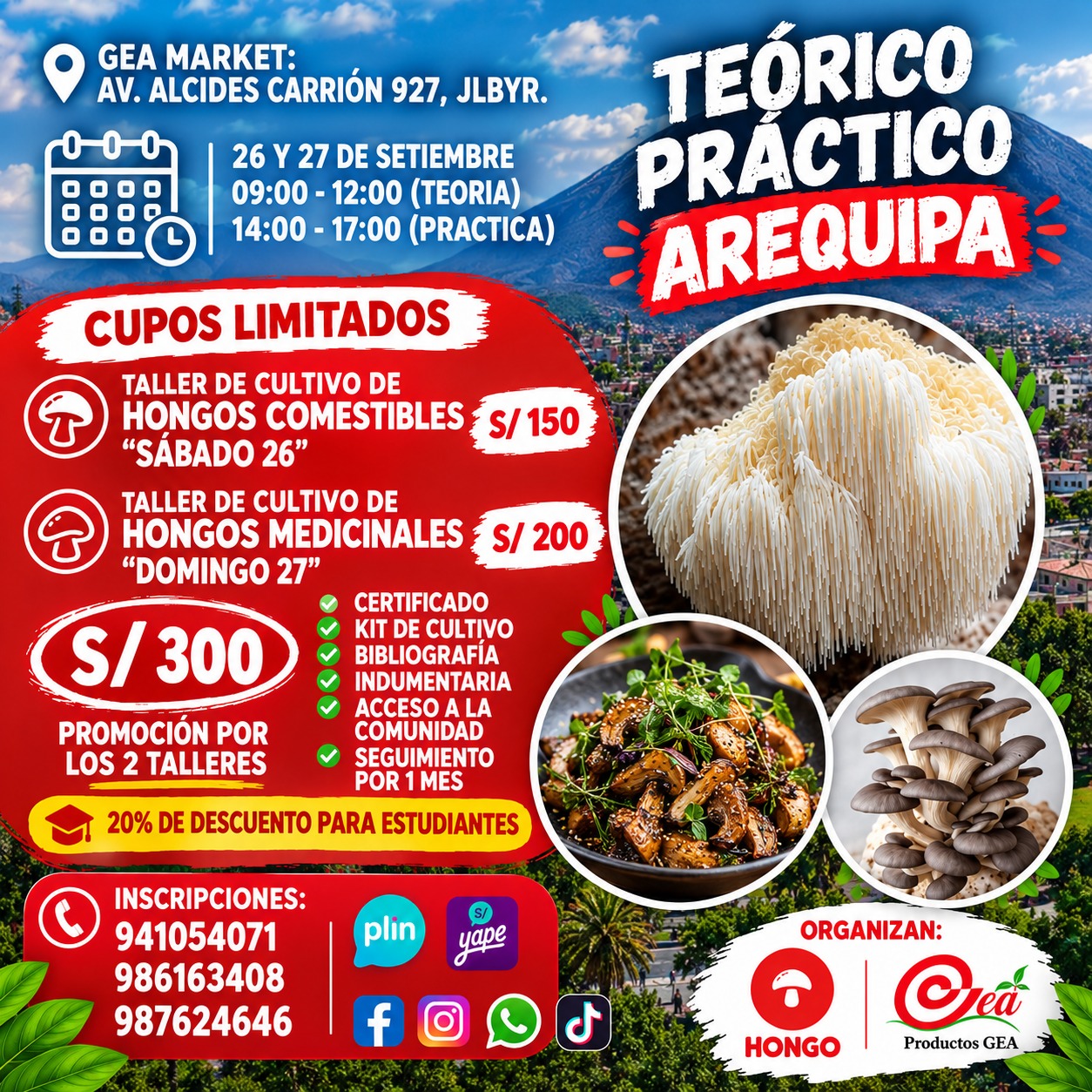 Taller de cultivo de hongos comestibles